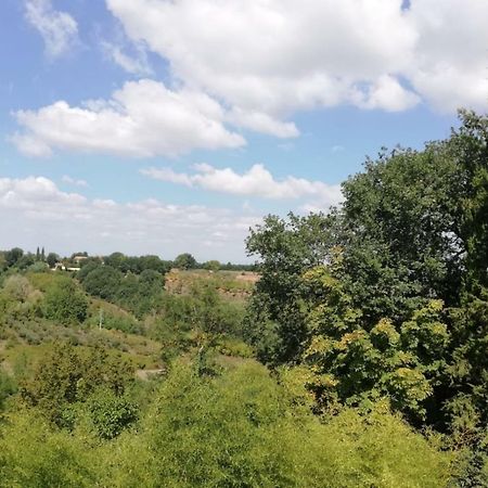 Nel Chianti Lungo La Francigena Colle Val D'Elsa Exterior foto
