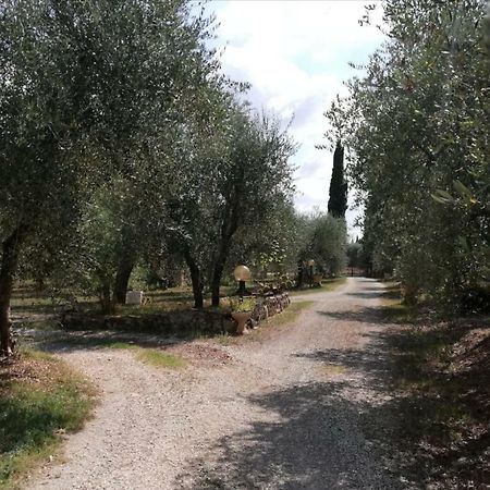 Nel Chianti Lungo La Francigena Colle Val D'Elsa Exterior foto