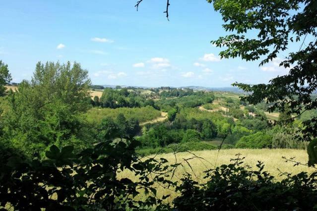 Nel Chianti Lungo La Francigena Colle Val D'Elsa Exterior foto