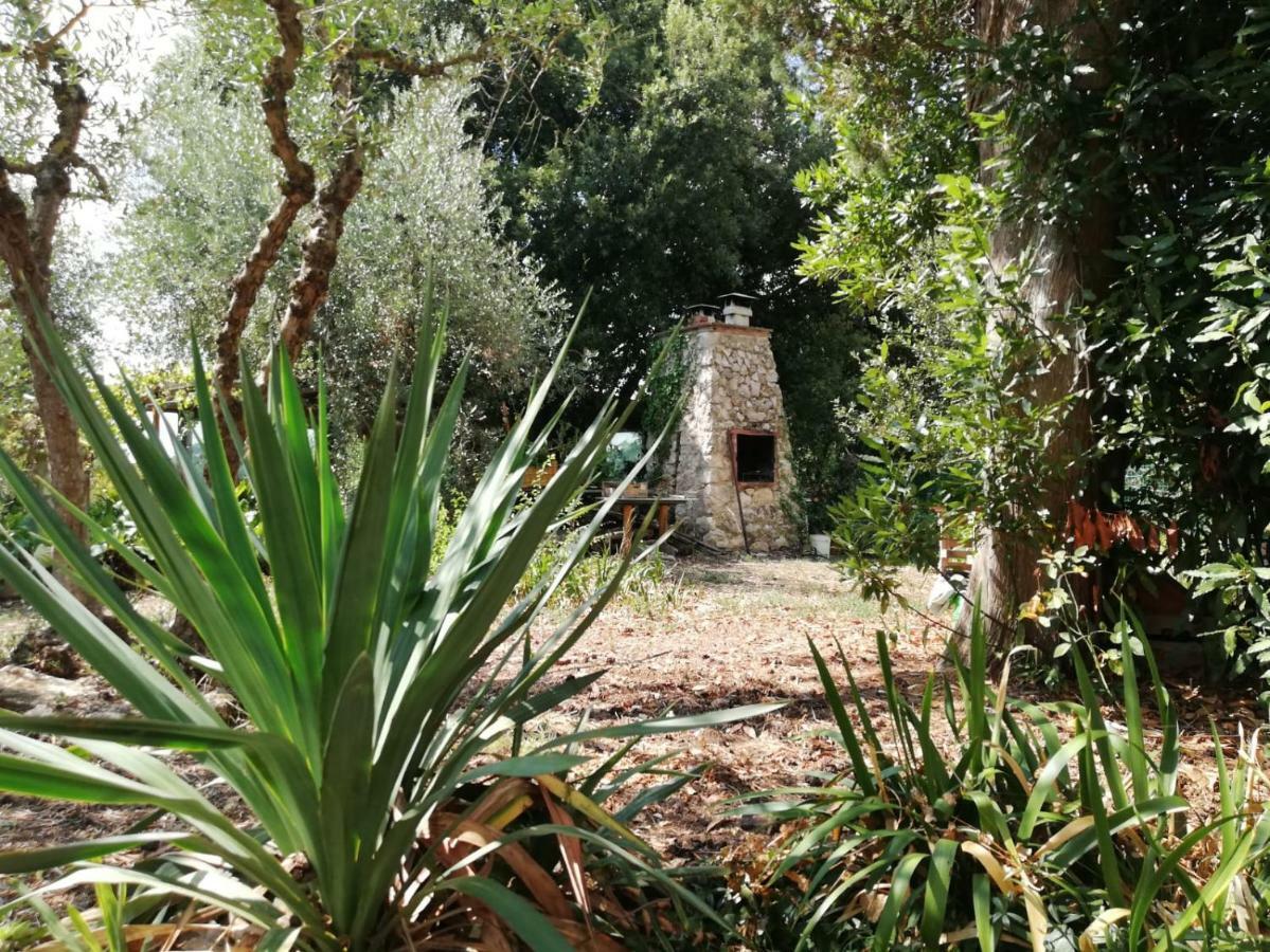 Nel Chianti Lungo La Francigena Colle Val D'Elsa Exterior foto