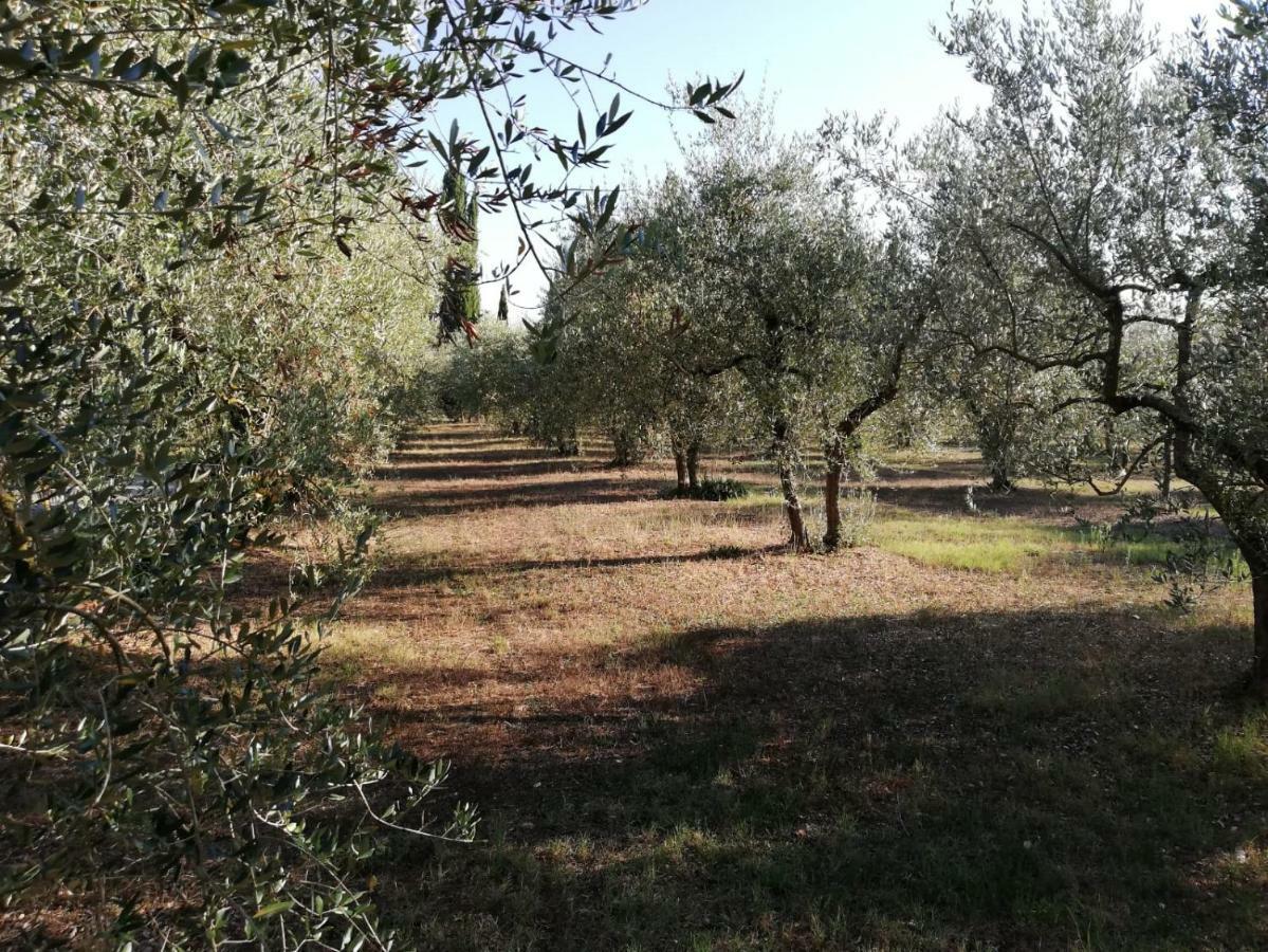 Nel Chianti Lungo La Francigena Colle Val D'Elsa Exterior foto