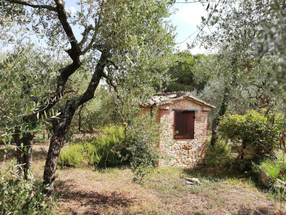 Nel Chianti Lungo La Francigena Colle Val D'Elsa Exterior foto