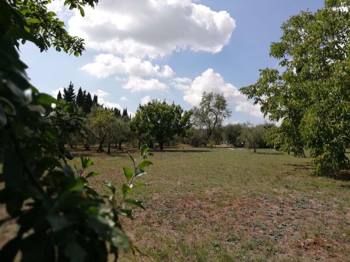 Nel Chianti Lungo La Francigena Colle Val D'Elsa Exterior foto