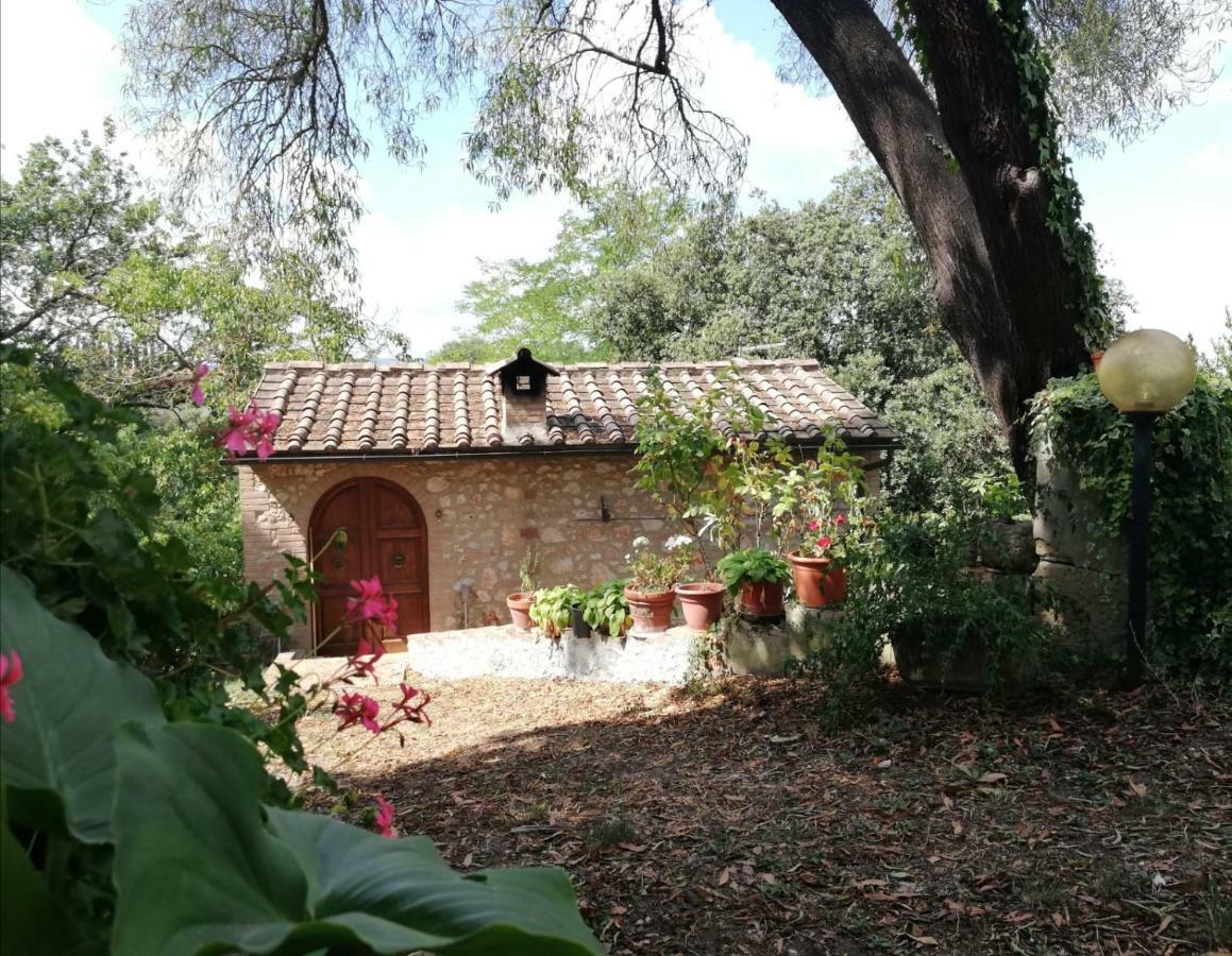 Nel Chianti Lungo La Francigena Colle Val D'Elsa Exterior foto