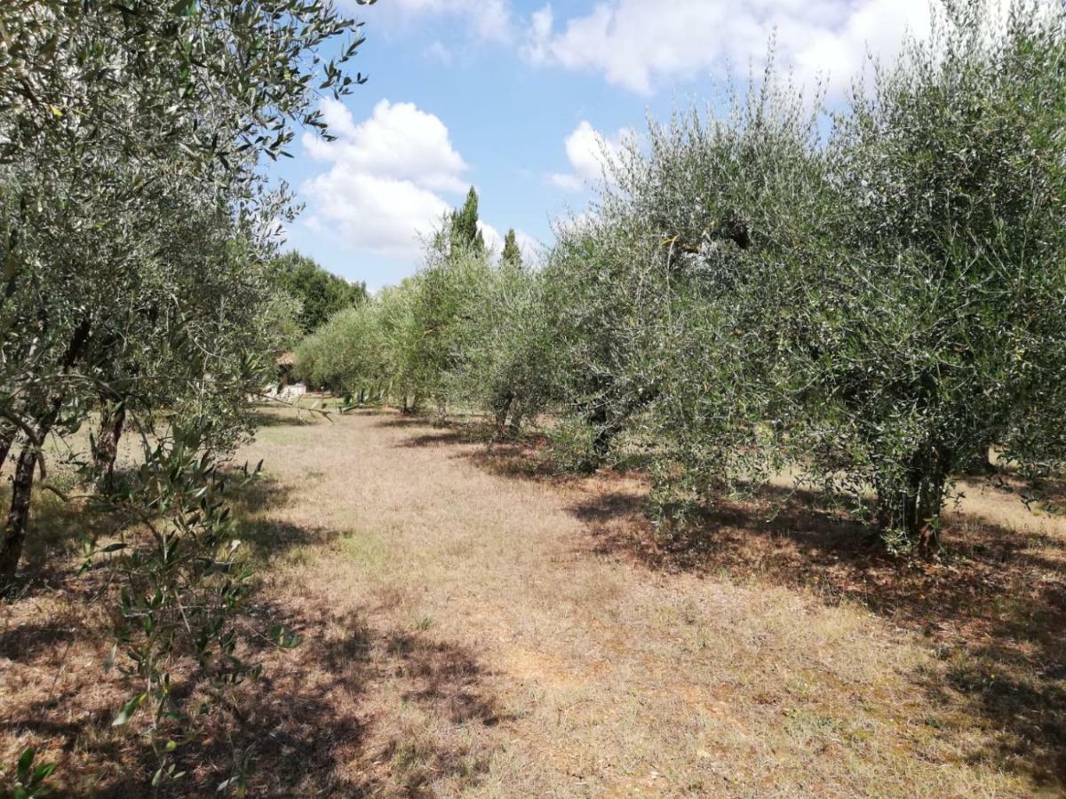 Nel Chianti Lungo La Francigena Colle Val D'Elsa Exterior foto