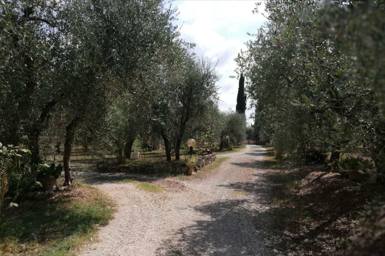 Nel Chianti Lungo La Francigena Colle Val D'Elsa Exterior foto